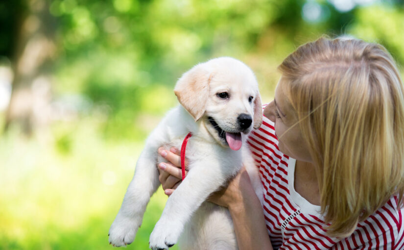 How does grooming impact your pet’s behavior and mood?